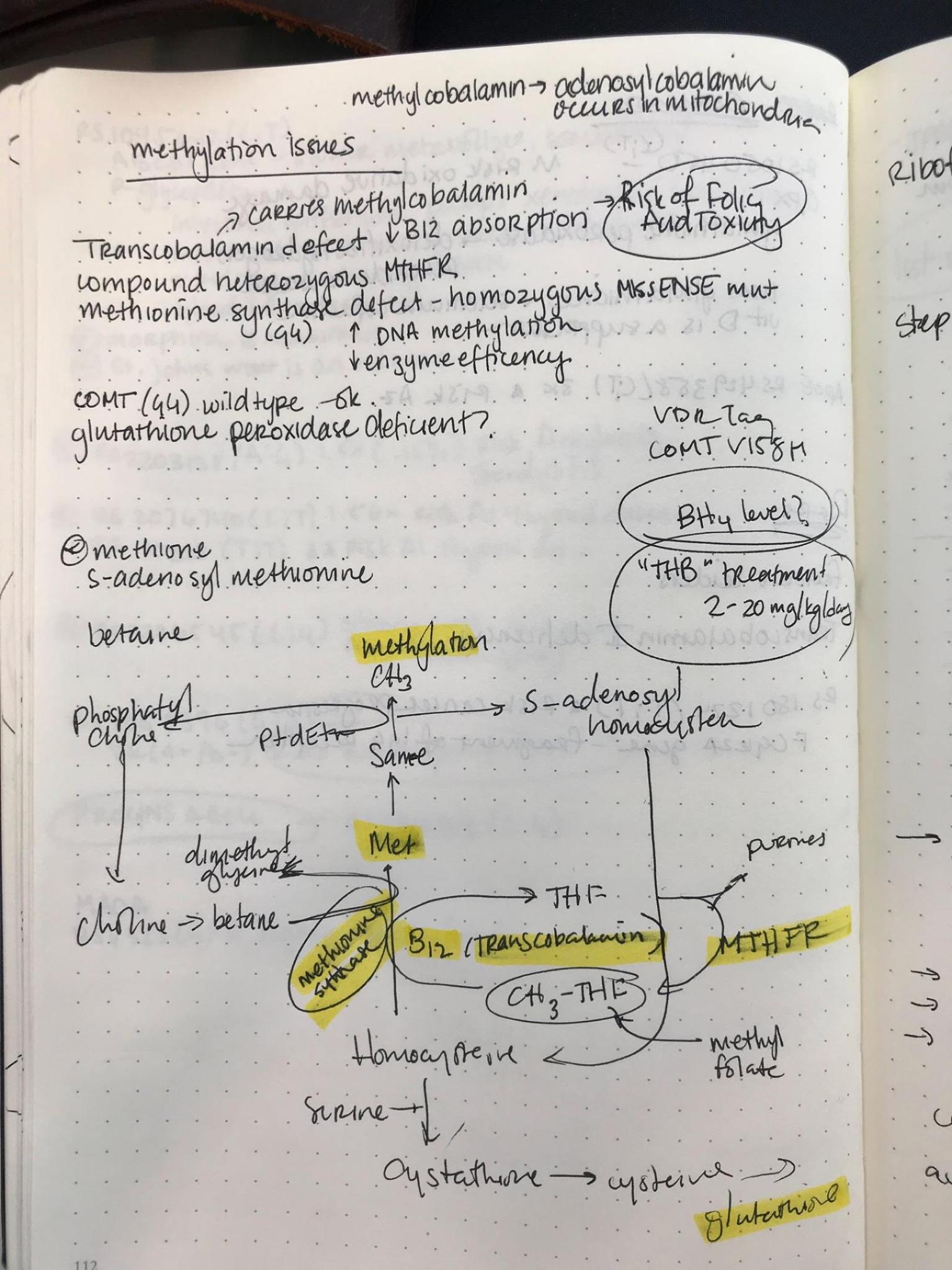 Genetic mutations in EDS and MCAS