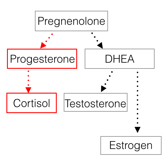 Pregnenolone steal in MCAS and EDS